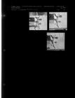 Rattle Snake (3 Negatives) (August 28, 1962) [Sleeve 67, Folder b, Box 28]